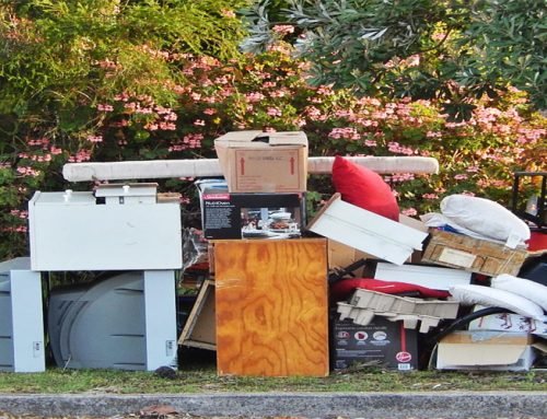 Quick Junk Removal Arabian Ranches Dubai