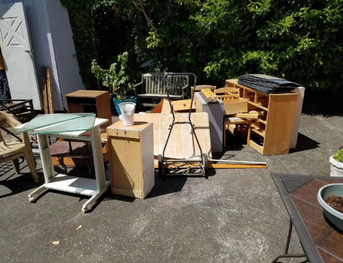 Junk Collection in Arabian Ranches Dubai